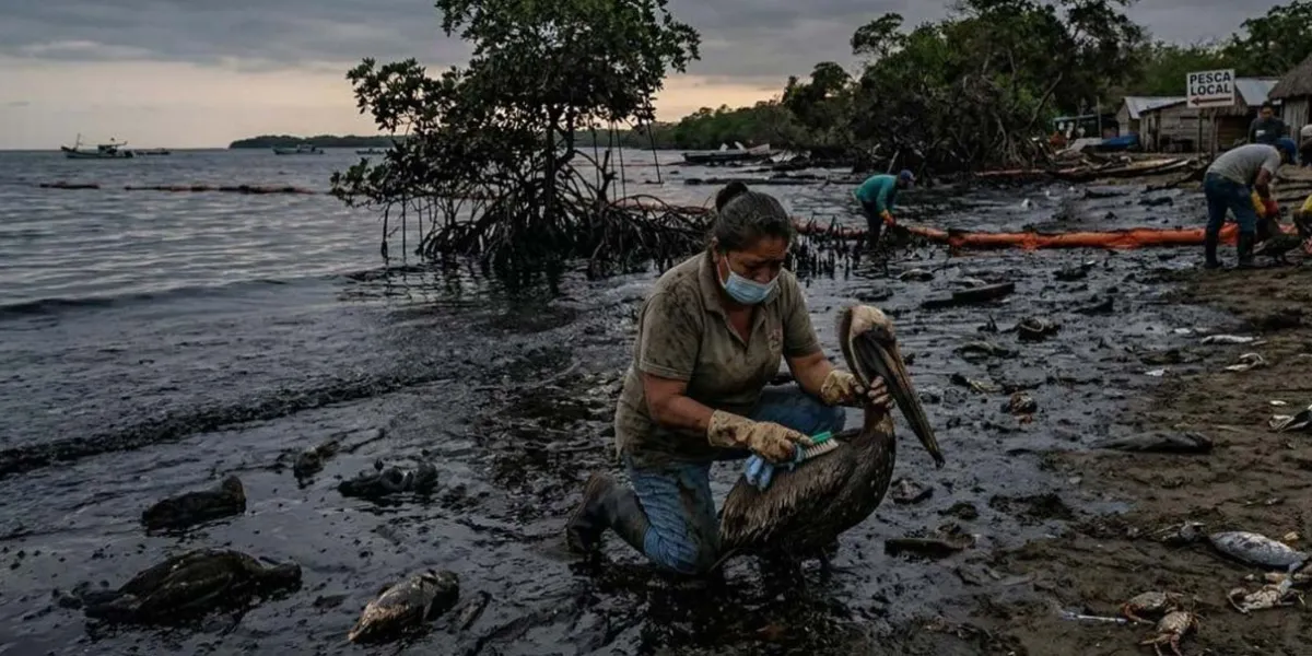 Pescadores denuncian inacción y versiones contradictorias tras desastre en el Golfo de México