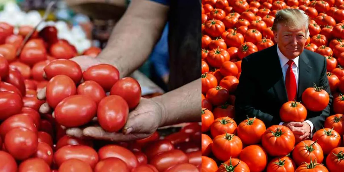 Por culpa de Trump precio del jitomate supera los 50 pesos en México