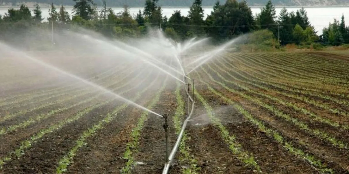 Alertan que castigarían el ahorro de agua en el agro mexicano