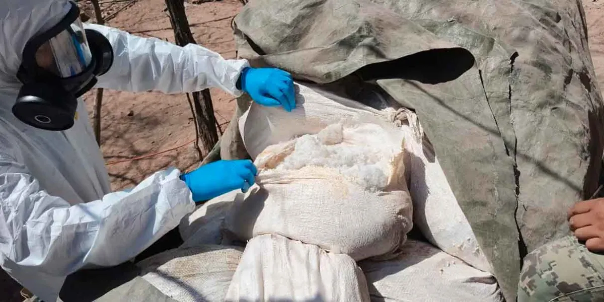 Operativo federal destruye narcolaboratorios en Sinaloa. Decomisan más de 4 toneladas de metanfetamina