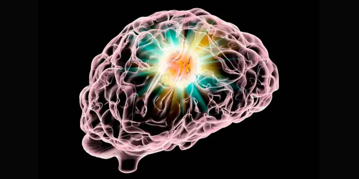 La testosterona podría ayudar a frenar uno de los cánceres cerebrales más agresivos