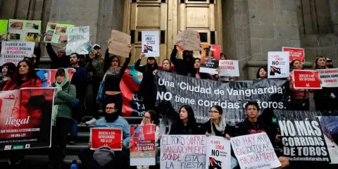 PVEM afirma que oposición retrasa discusión para prohibir la tauromaquia