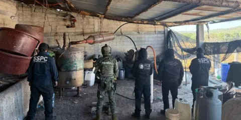 Producen drogas en Puebla: SSP