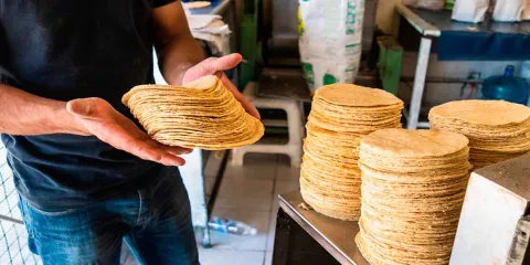 Estos los peligros y desventajas de consumir tortilla pirata 