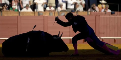 Jueza prohíbe permisos para eventos con maltrato animal en Benito Juárez