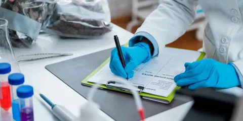 Sobornos en laboratorios 