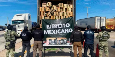 Desmantelan enorme cargamento de fentanilo oculto en nopales en la frontera de México y EU