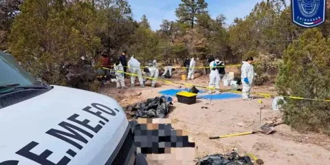 HALLAZGOS ESCALOFRIANTES. En “El Willy”; encontraron  81 cuerpos en fosas clandestinas
