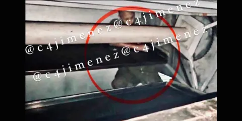 Informe forense confirma accidente laboral en muerte de trabajador de Bisquets Obregón