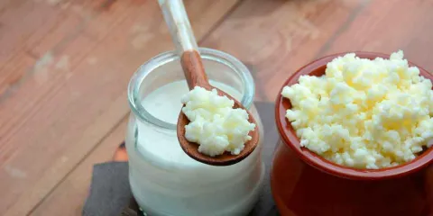 Descubre por qué el KÉFIR es el superalimento del momento 