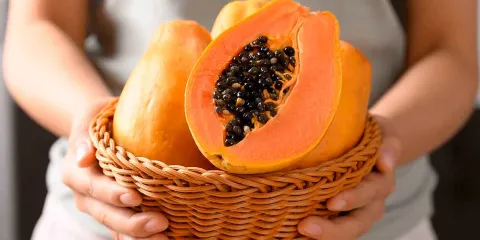 DESCUBRE los beneficios de la papaya para tu salud y bienestar