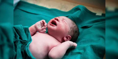 Programa desde la Cuna 2025: Apoyo económico para madres de recién nacidos