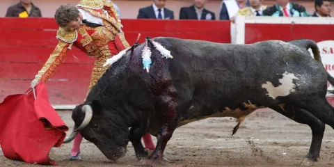Aguascalientes declara corridas de toros y peleas de gallos como patrimonio cultural
