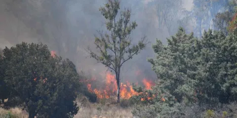 Se agrava situación de incendios en Puebla; Libres y Tlachichuca, con fuego fuera de control