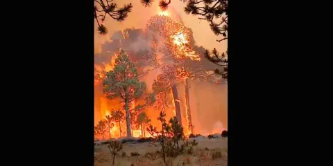  VIDEO. Ya son 4 días de incendio en Cofre de Perote 