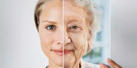 Metformina y longevidad: ¿Puede este fármaco extender la vida humana?