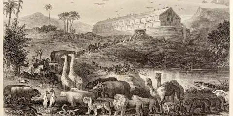 ¿Hallaron el Arca de Noé? Excavación y escaneo en Turquía reaviva el misterio bíblico