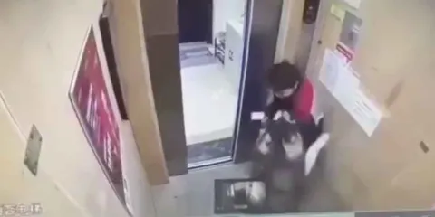 VIDEO. Hombre sufre ataque de feroz perro Husky en un elevador