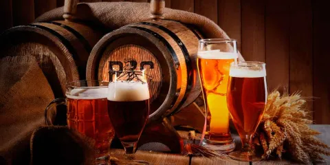 ¿Sabías cuánta azúcar tiene tu cerveza? Estas son las marcas con más contenido según Profeco