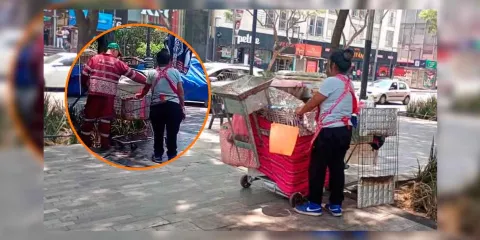 VIDEO. Vendedora usa agua de riego para hervir elotes en la CDMX 