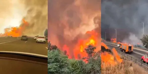 VIDEOS. Incendios forestales amenazan Jerusalén: Israel declara emergencia nacional