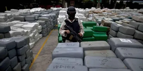 Carteles mexicanos superan a narcos colombianos en ganancias: ONU
