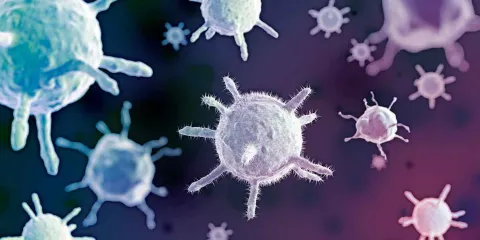 El VPH puede transmitirse sin penetración: especialistas alertan sobre formas de contagio