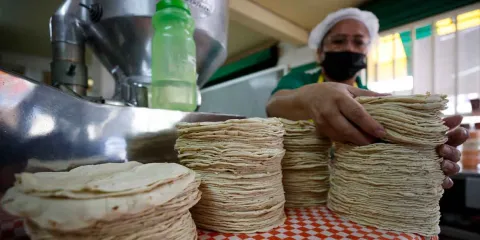 Crimen organizado impone el precio de la tortilla y eleva su costo hasta 3 pesos por kilo