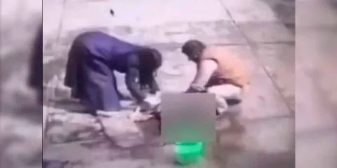 ESCANDALO. Sujetos cercenan la cabeza de dos perros en Centro de Bienestar Animal en Ixtapaluca