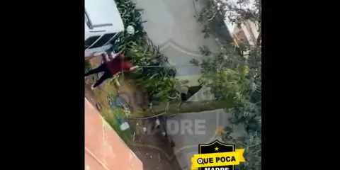 IMAGENES SENSIBLES. Mujer cuelga a un perro como castigo en Tulancingo