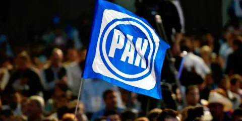 Los mapaches de Acción Nacional