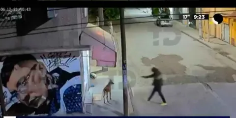 VIDEO. Elemento de la Fiscalía de EDOMEX mata a balazos  a “Pastor”, lomito amado por vecinos 