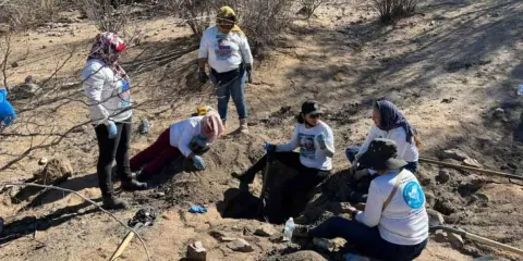 Feminicidio múltiple en Sonora: madre y tres hijas son asesinadas; las niñas fueron halladas abrazadas