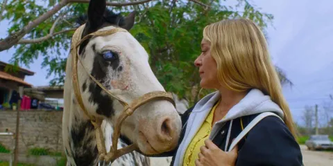 MUBI ofrece buena programación este mes de julio