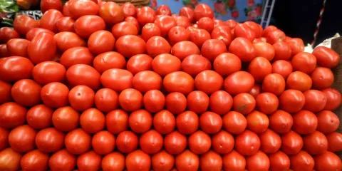 Puebla pierde mdd de EU, por jitomate