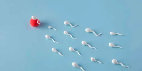 Cómo mejorar la calidad del SEMEN: hábitos saludables y consejos médicos