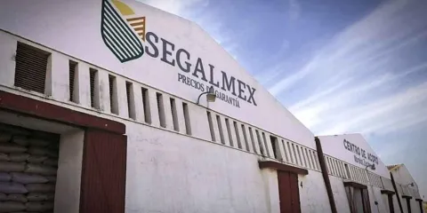 Una licencia para robar II