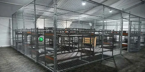 Sheinbaum confirma 81 mexicanos detenidos en Alligator Alcatraz