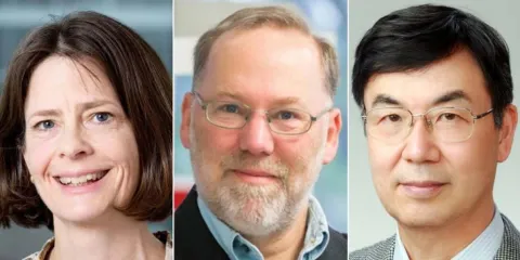 Premio Nobel de Medicina 2025 reconoce avances en el sistema inmunológico humano