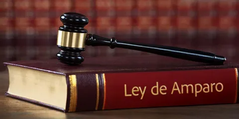 Zaldívar plantea cambios a la Ley de Amparo