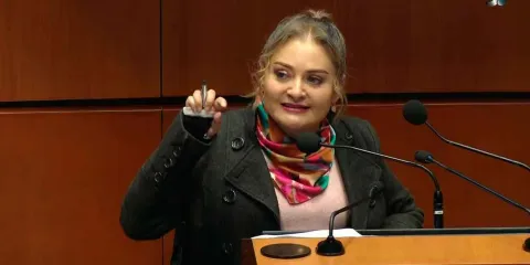 Claudia Anaya acusa que Gertz Manero no renunció a la FGR, su salida fue negociada