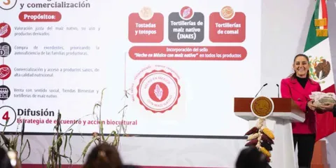 Claudia Sheinbaum lanza el Plan Nacional de Maíz Nativo para fortalecer este cultivo y a familias productoras 