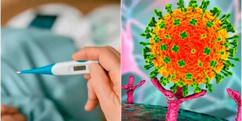 Virus Nipah en India enciende alertas sanitarias por su alta letalidad