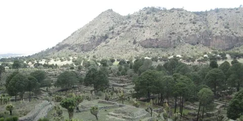 Zona Arqueológica de Cantona, joya histórica escondida en Tepeyahualco