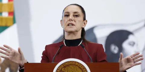 Esta es a detalle la Reforma Electoral