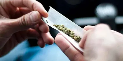 Adolescentes que consumen MARIHUANA duplican riesgo de psicosis y trastorno bipolar: estudio