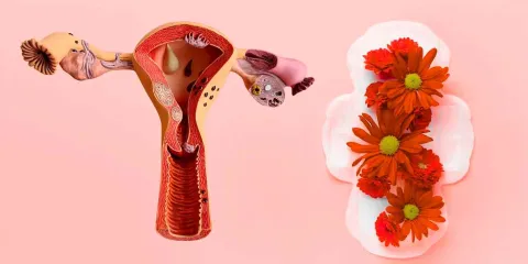 De tabú a herramienta médica: la sangre menstrual abre una nueva era en la salud femenina
