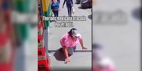 VIDEO. Tremenda pelea de perros. Joven therian contra un pitbull ¿Quién gano?