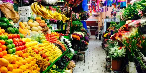 Una persona necesita 4,877 pesos al mes en zonas urbanas para acceder a la canasta básica, reporta el Inegi