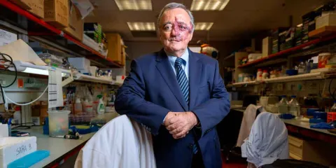 PNAS elimina estudio que prometía curar el cáncer de páncreas por irregularidades